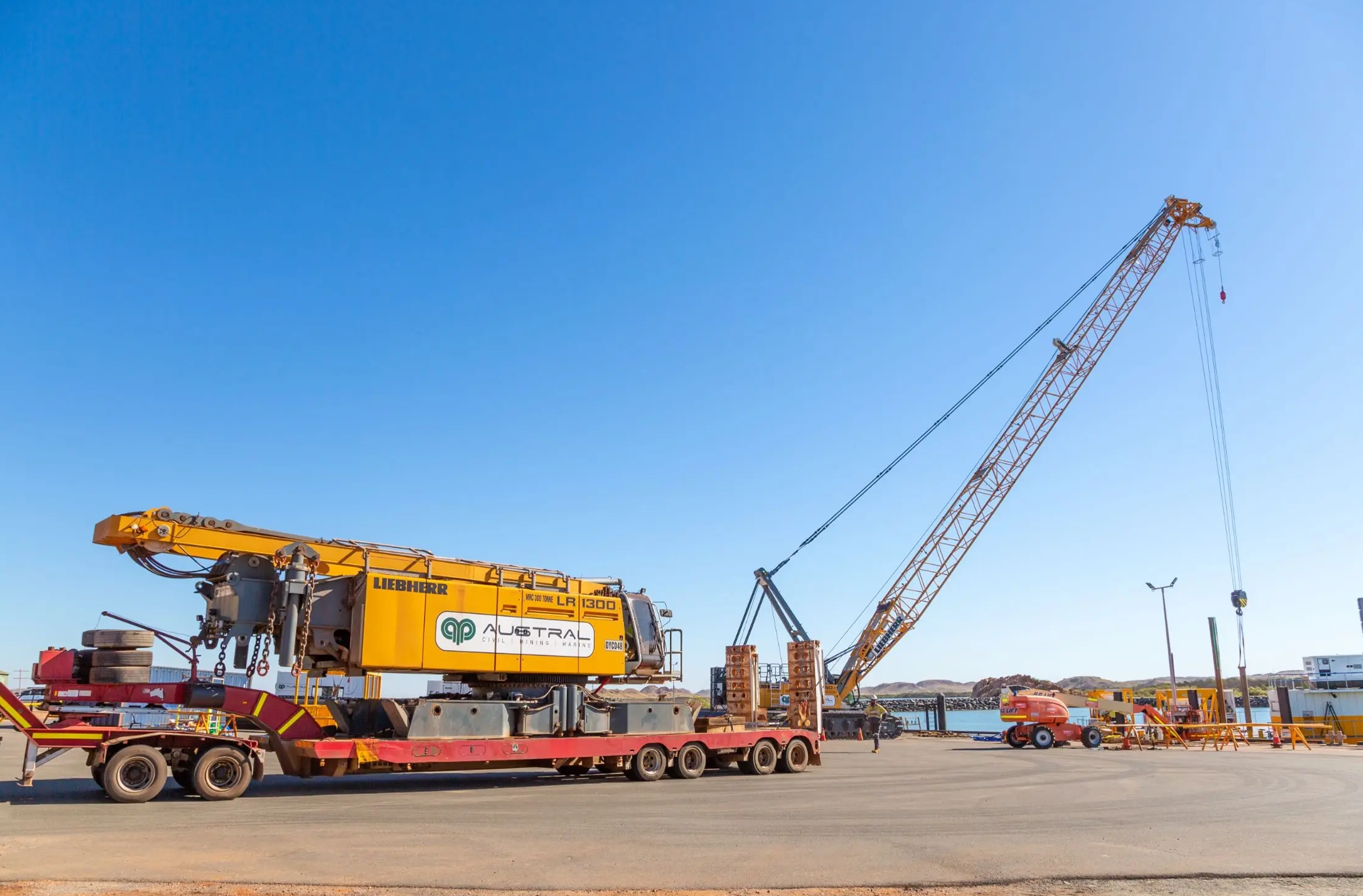 A big Austral's crane